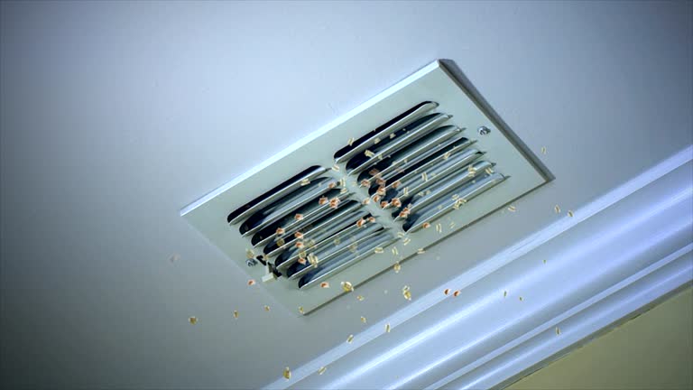 Best Local Air Duct Cleaning Services  in Lehighton, PA