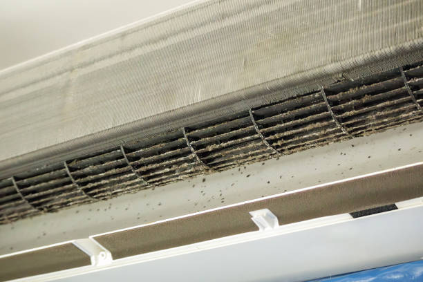 Best Best Air Duct Cleaning Company  in Lehighton, PA